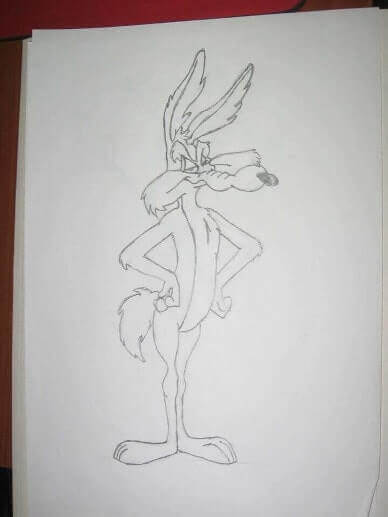 wile-e-coyote