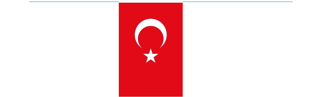 the-flag-of-turkey